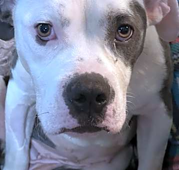 Photo of Ruthie