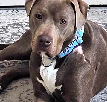 Photo of Hudson
