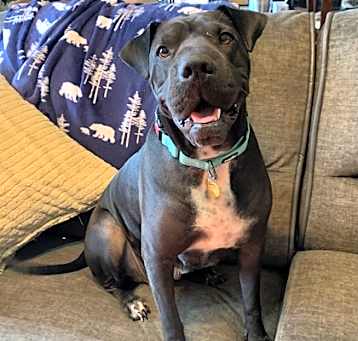 Photo of Luna