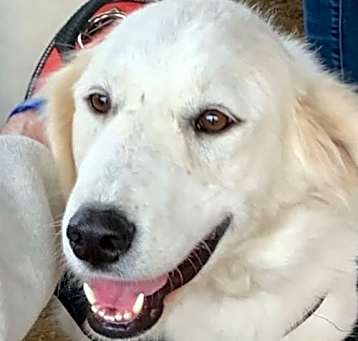 Photo of Leah