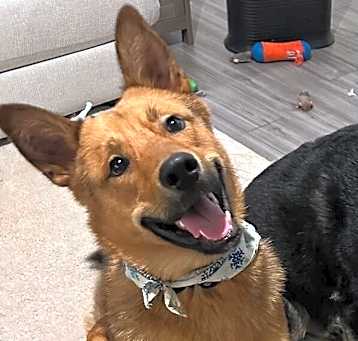 Photo of Kylo
