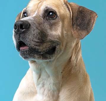 Photo of Winston