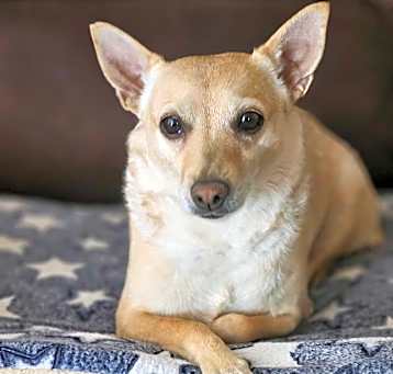 Photo of Max