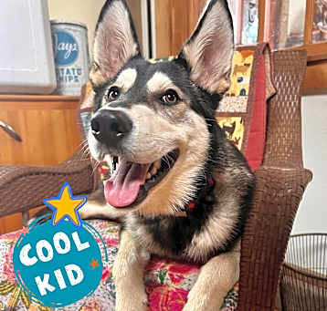 Photo of Bobby the Kid