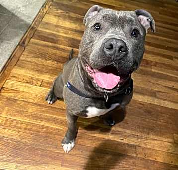 Photo of Murphy