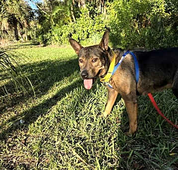 Photo of MISSY