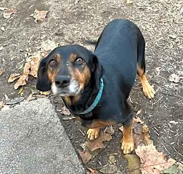 Photo of Cassie