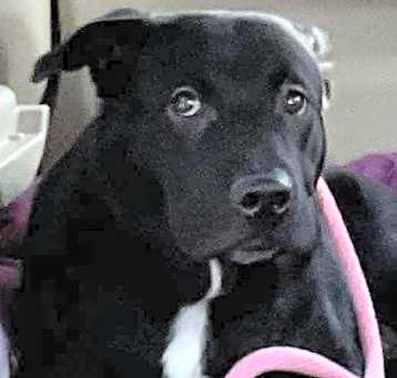 Photo of Isaac URGENT!!!!