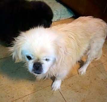 Photo of Mollly