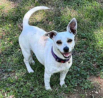 Photo of Dorothy