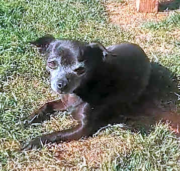 Photo of Celia