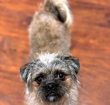 Photo of Fuzzy!
