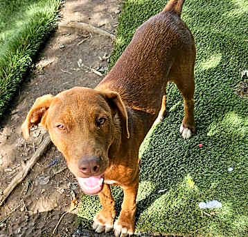 Photo of Caine