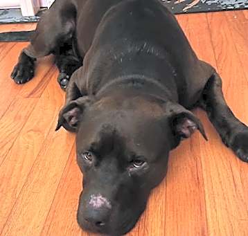 Photo of ZERO