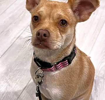 Photo of Tia