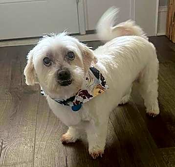 Photo of Clyde