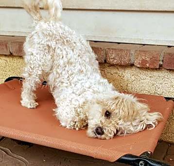 Photo of MOLLY