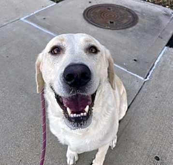 Photo of Phoebe
