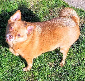 Photo of RICARDO