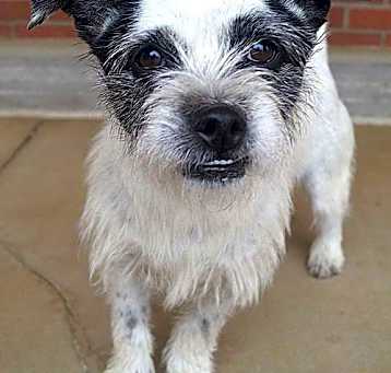 Photo of Blanca