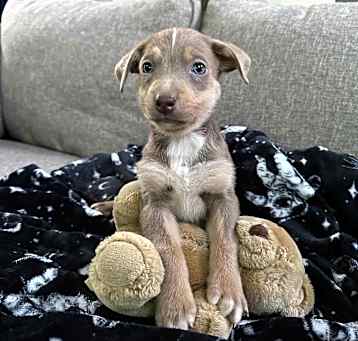 Photo of Jax