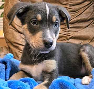 Photo of Maggie