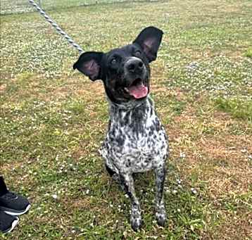 Photo of OREO