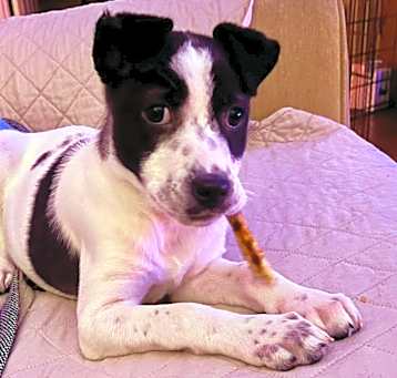 Photo of MISSY