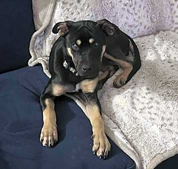 Photo of Kira