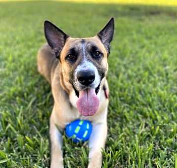 Photo of Jack