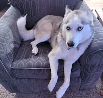 Photo of Lucy