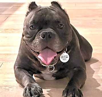 Photo of Blanca