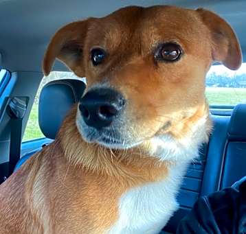 Photo of Fry