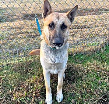 Photo of Chase