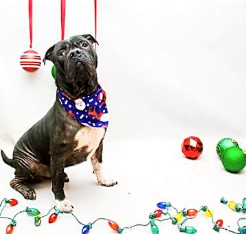 Photo of DIESEL
