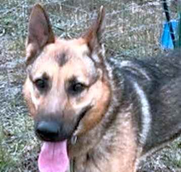 Photo of Axle