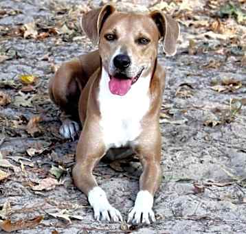 Photo of AIDEN
