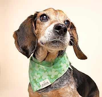 Photo of Alfred