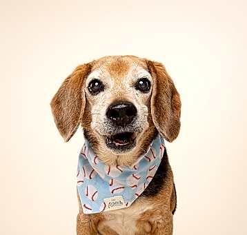 Photo of Morty