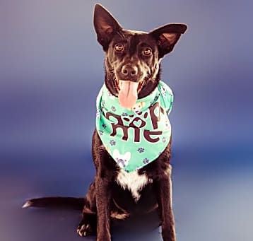 Photo of Beryl