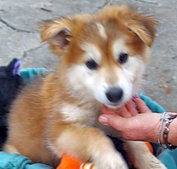 Photo of JOVIE sb