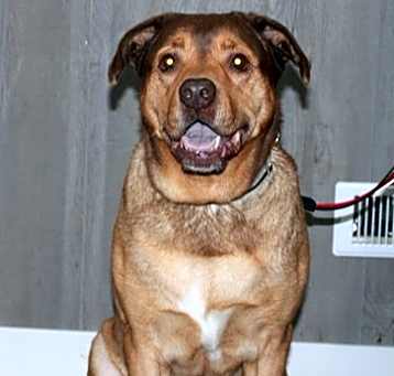 Photo of Duke