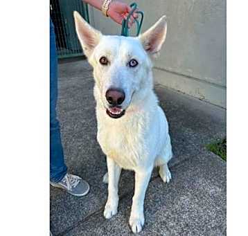 Photo of Wyatt A429003