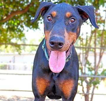 Photo of Jasper