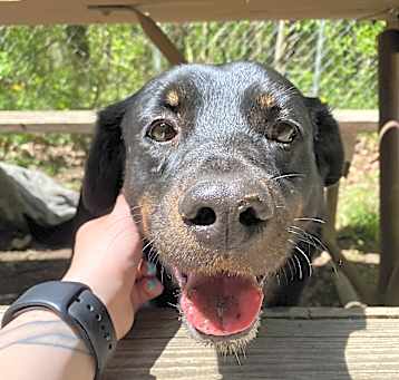 Photo of Zero
