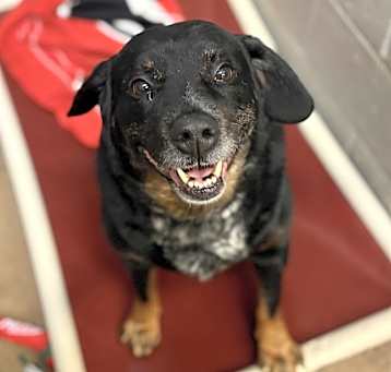Photo of Rocket