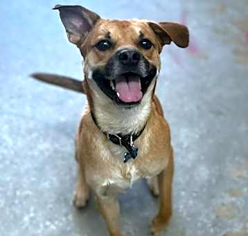 Photo of Teddy