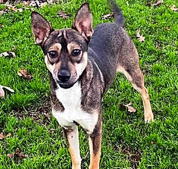 Photo of SAGE