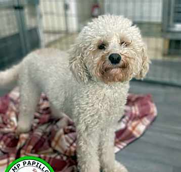 Photo of Sparkle