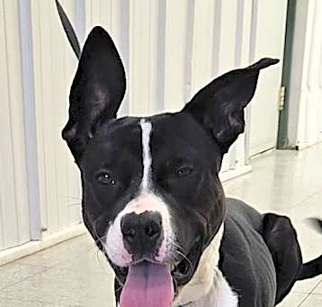 Photo of Leroy